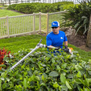 ff54e28f-6c5b-4a0b-8475-08dd7ce39d9d