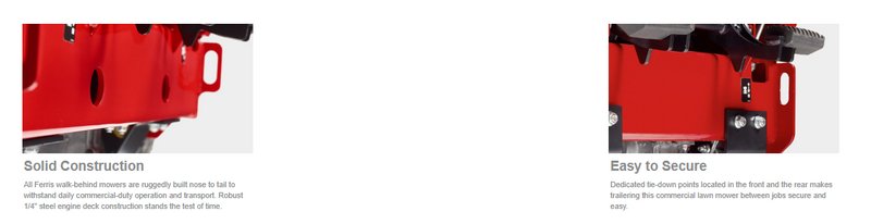 Ferris FW25 18.5 gross hp** Kawasaki FS600V Electric Start w/ 36" Deck - CC Control (5901886)